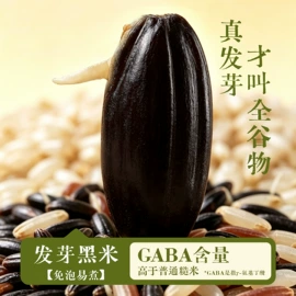 其他冲调饮品;小米;黑米
