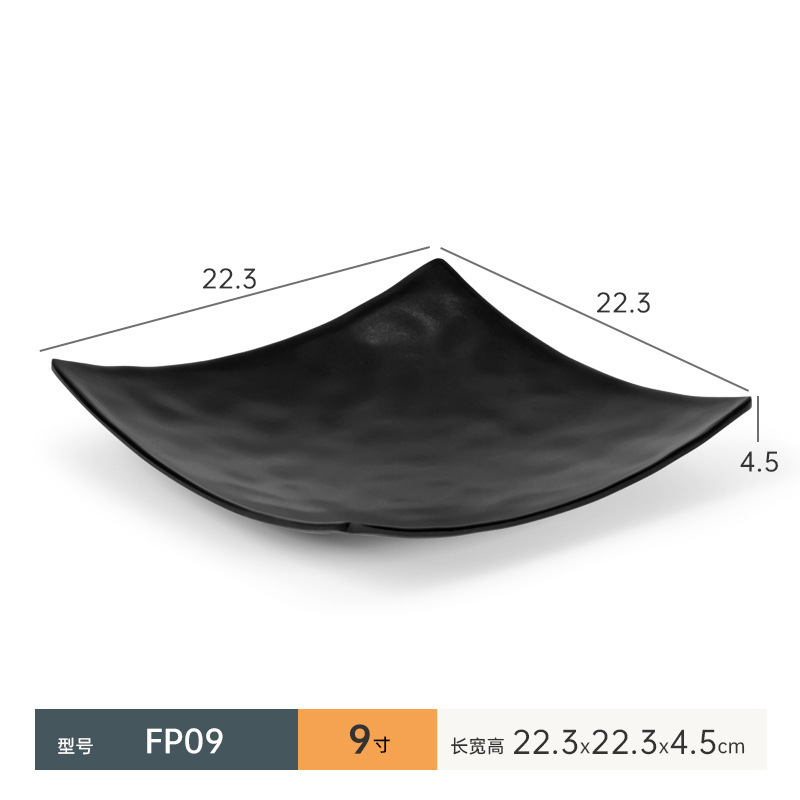 FP09