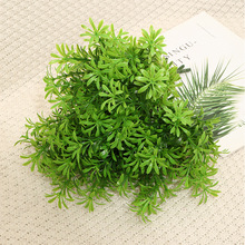 ����ֲ��Gֲ�ջ��ݲ廨��������bٲ�7��35�������Ϸ����