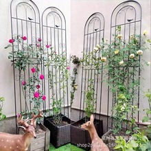�羳�Fˇ���ټ��Nޱ�¼��NֲͥԺ�řڑ��⻨��֧�ΗU�F��ɏ���ټ�