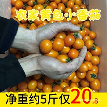 �Fժ�F�l�SɫС�������r����С����ˮ�����t���߲��S���}Ů���r��