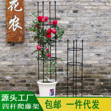 @ˇ¼ټܻFɏL܇ֲ ֧֧ΗUl