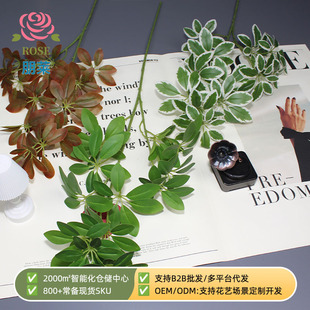 2026�¿����Gֲ����ľ�~�u�X���~�lؔ�~�R��ľ�廨���ֲ�