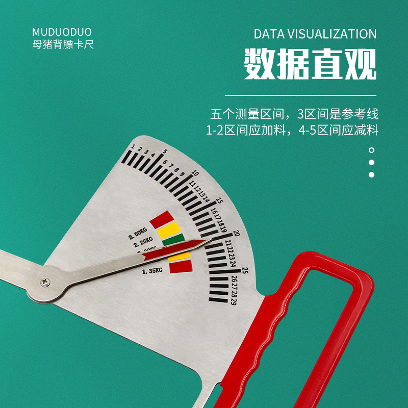 Calibrador de alimentación de acero inoxidable para cerdos guía de medición de estado de cerdas embarazadas calibrador de alimentación de cerdos