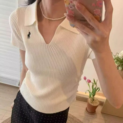 夏の新しいスタイルのポニー刺繍スリムフィット多用途トップ女性のファッショナブルなポロカラー無地ニット T シャツ