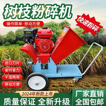 ���@�ɝ���֦�C�@���Ƅ�֦�l����C���ѽն��������͘�֦����C