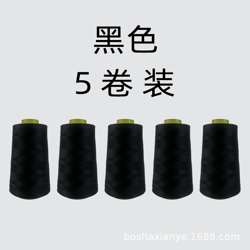 검정색 5롤 묶음