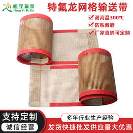 厂家直销 特氟龙铁氟龙网格输送带 耐高温耐磨脱水烘干网带传送带