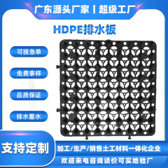 聚乙烯蓄排水板蓄水排水屋顶花园绿化车库顶板滤水板疏水板厂家