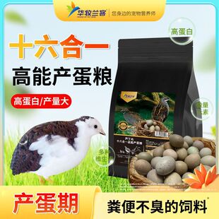 �����տ��J���u��Ϯa���Z���r�Z�������16��һ�I�B���⹤�Sֱ�N