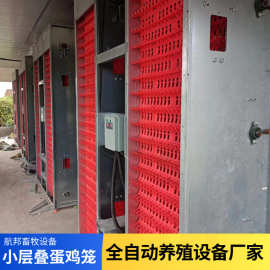 立式H型小层叠鸡笼子智能自动化养殖场层叠式设备