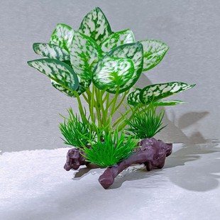 Ze Hao aquarium factory direct supply a variety of multi-color fish tank landscape aquatic plants aquatic plants simulation aquatic plants fish tank decoration