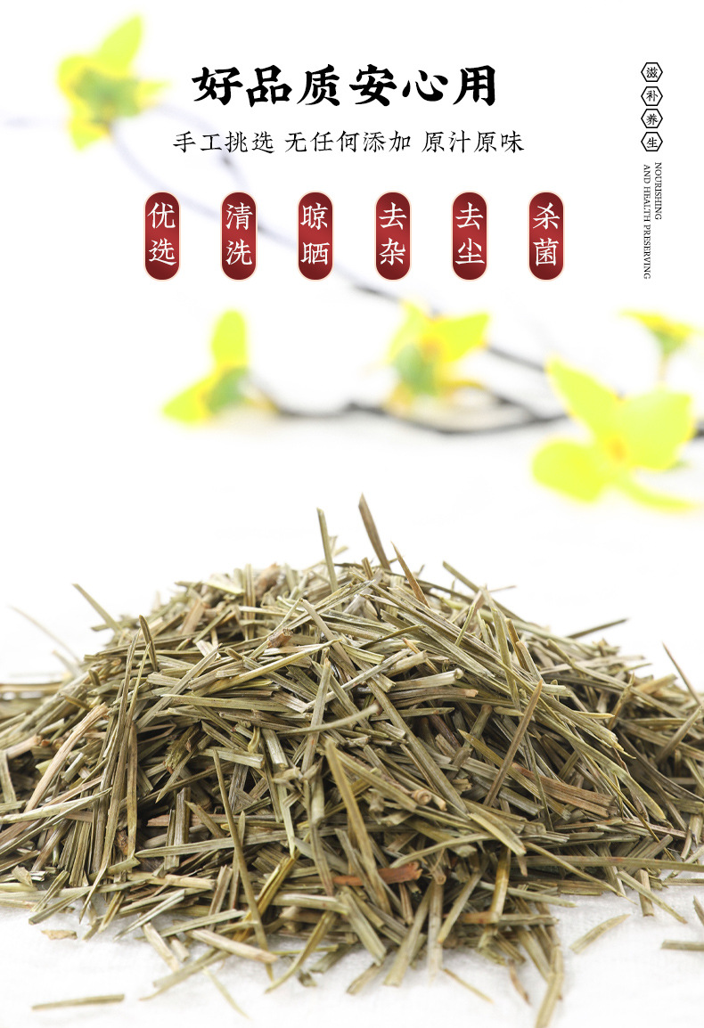 Dried Pine Needle Tea Song Zhen 500g Loose Herbal Tea for Daily Brewing quality and texture