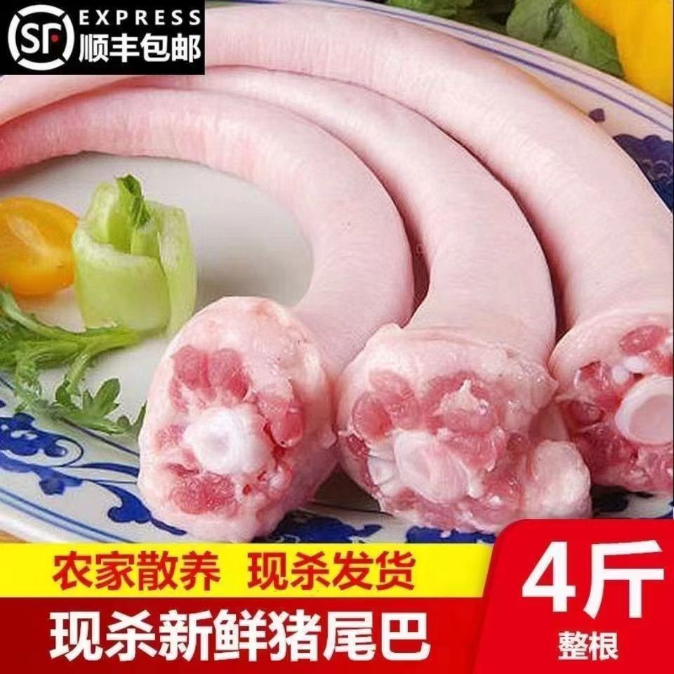 新鲜猪尾巴现杀整根干净无毛猪长尾猪短尾猪中长尾批发商用
