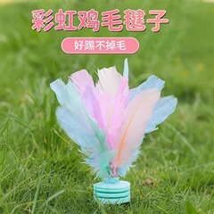はねの子の小学生の幼稚園ははねの子の鶏の毛の腱を蹴ります。