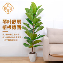 ���`Ϭ���졿120CM-140CM���~���д��ʹ��~�Ϙ������k���ҾGֲ