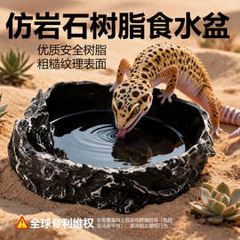 爬虫箱蜥蜴箱蜘蛛蝎子箱造景躲避洞穴蛇热带沙漠装饰造景