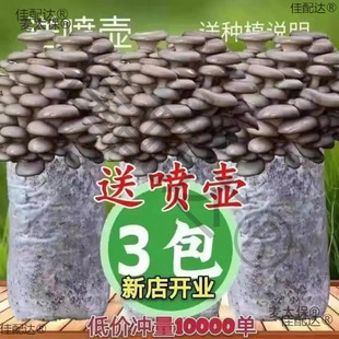 ����ʳ�þ������҃Ⱦ��N�������ηNֲ�ҷN������Ģ���޽Ӽ�