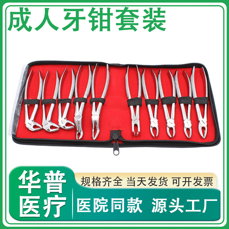 Dental Stainless Steel Adult Tooth Extraction Forceps Set Oral Instruments Adult Ten Tooth Extraction Forceps Set Manufacturer Wholesale