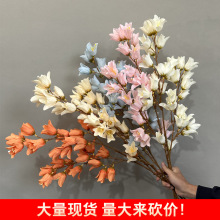 ���滨�L���m ��c��Y��·�����Ż�Y�b廨���Ż����üٻ�