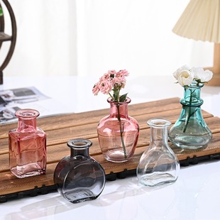 Transparent Hydroponic Flowers Mini Vase Decoration Scandinavian Ins Style Small Vase Living Room Table Flower Arrangement Glass