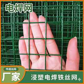 PVC电焊网 浸塑喷塑电焊绿网 养鸡 圈地 隔离防护用网