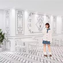 二次元黑白漫画墙纸剧本杀装饰背景墙换装壁纸2024新款手绘拍照