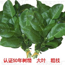 �S�ҬFժ�����~ȥ�ޚ� �_�\�D�\���w�¾��۸� 50���Ϙ�Gɫ���r