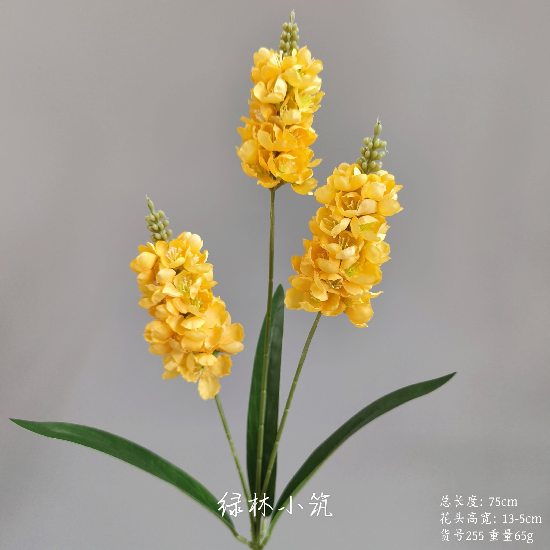 품목번호 255-세 머리 히아신스