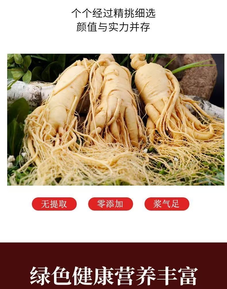 Fresh Ginseng Root (Panax ginseng) — Changbai Mountain Northeast Ginseng for Soup & Tonic Wine specifications