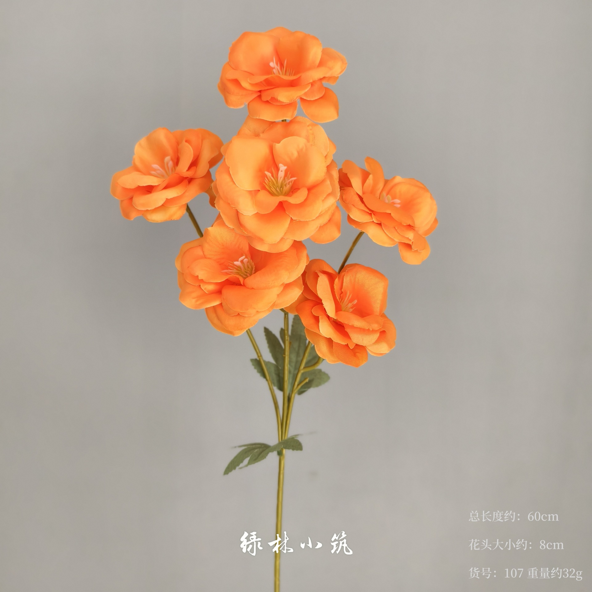 품목번호 107-6머리 도라지