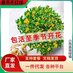 һlļ𻨘ͥԺԭ҃԰µ