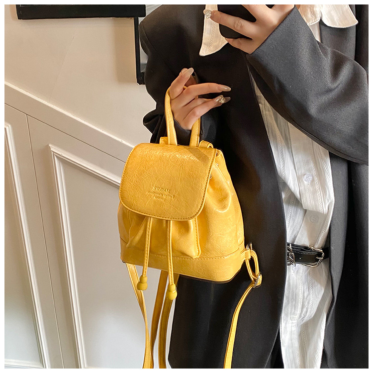 Simple, versatile and niche design women's backpack 2025 new trendy casual small backpack, fashionable travel small schoolbag undefined