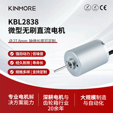 KBL2838������ˢֱ�����4000rpm8V���������������ڹ�ҵ�豸