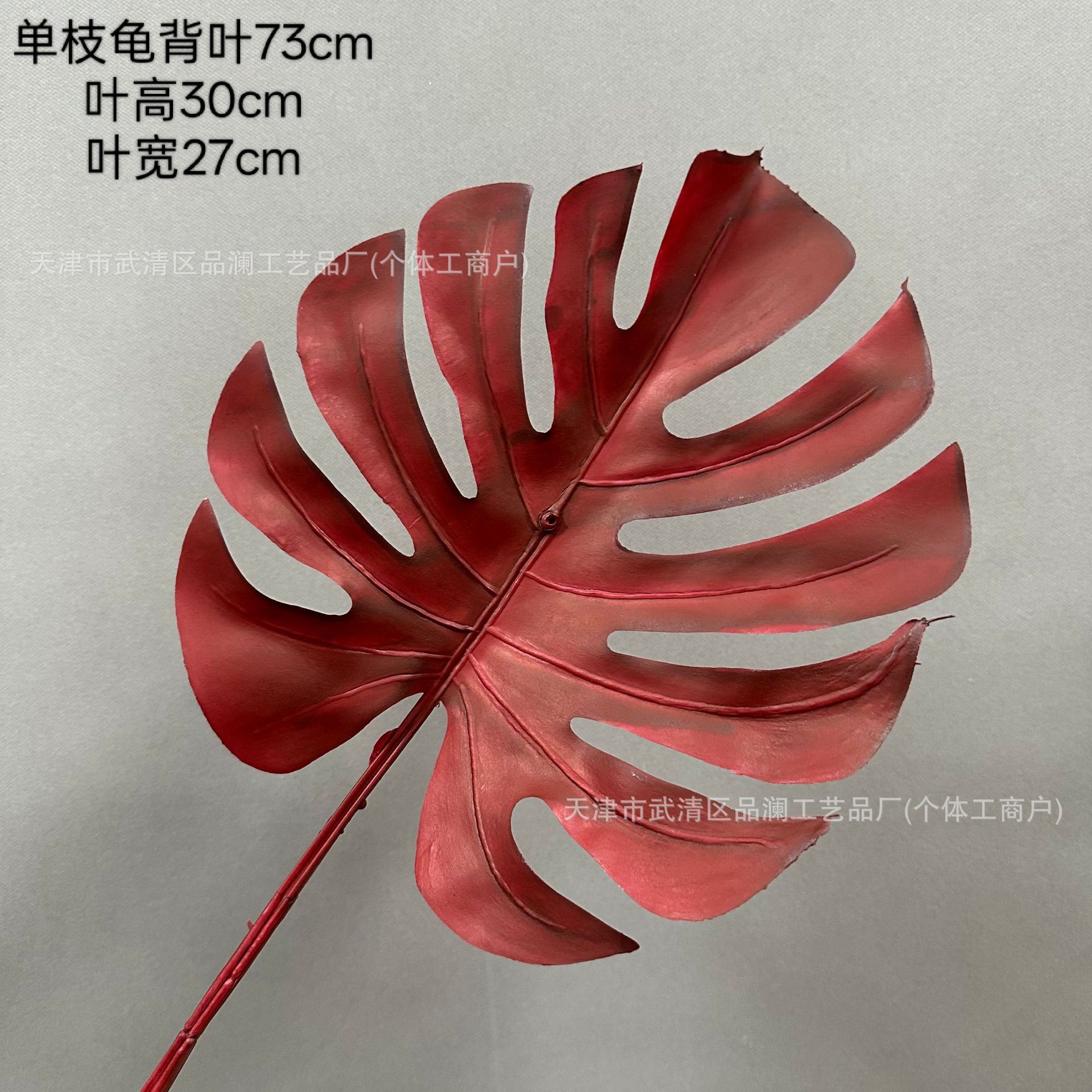 거북잎