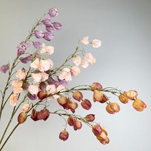 ������\�� �������\����c�ٻ����滨����b�·�����ҾӔ[��