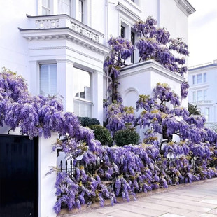 ���ٻ��N�����ٻ�������ֲ��ͥԺ�L�����ͺ����B����������Ԯ��