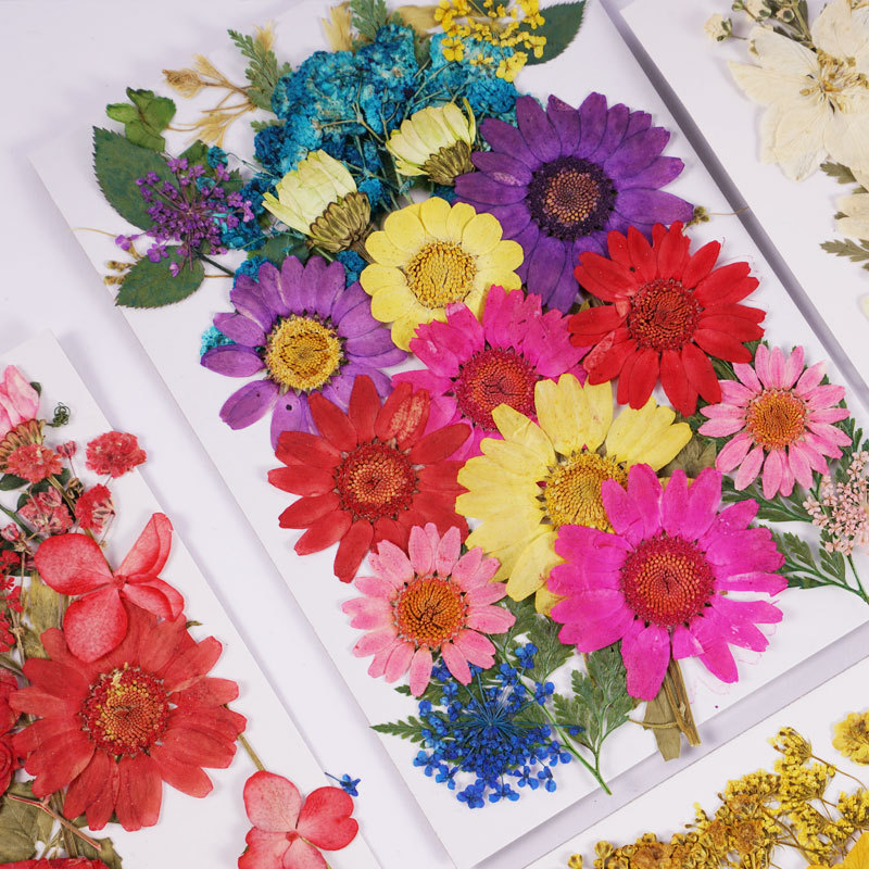 干花DIY押花包 押花书签压花包压花画材料真花滴胶干树叶