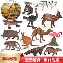 仿真动物模型儿童玩具套装白虎火烈鸟水豚鸵鸟骆驼考拉野猪食蚁兽