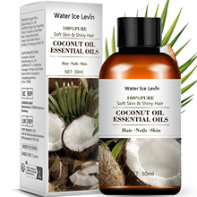 Water Ice Levin  �沿�o�w����Ҭ���;����̝���Ħֲ�ﾫ��