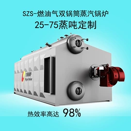 燃气锅炉;电热锅炉;蒸汽发生器