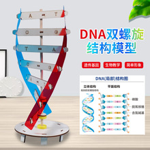 DNA双螺旋结构模型科技小制作手工diy人体基因生物科学实验器材料