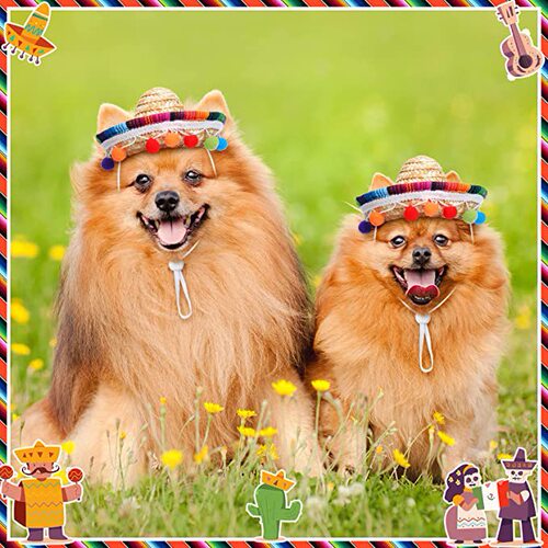 Straw Mexican Hat Dog Costume Accessories Carnival Party Supplies for Kids Pets and Doll Decoration