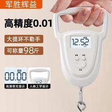 手提秤便携式电子秤高精度家用迷你电子手提秤小型食物克秤跨境