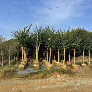 С�~��ޱ�会�~��ޱ����ͥԺ���е��乫�@�����l��G����3-8��