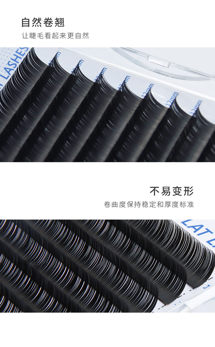 单根扁毛双尖扁毛 单根扁毛双尖扁毛