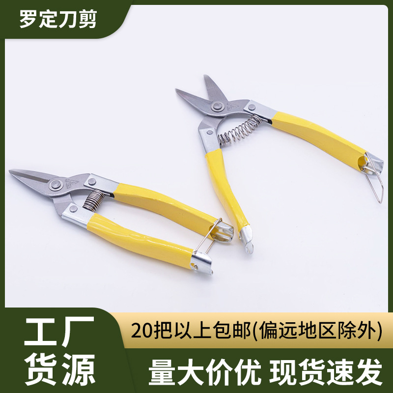 中黄剪园艺果枝剪多用途花园专用修枝剪摘果专用罗定剪刀20把包邮