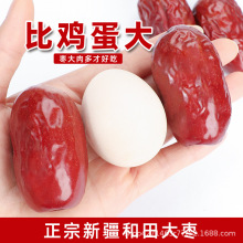 新疆红枣和田大枣一级大个红枣干货泡水煮粥枣子新疆特产零食干枣