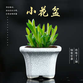 小花盆陶瓷批发迷你微型可爱多肉盆白瓷冰裂盆景小盆新款特价粗陶