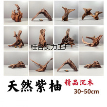 50cmԃֳľȻС̖ˮ~쾰bܞ̨